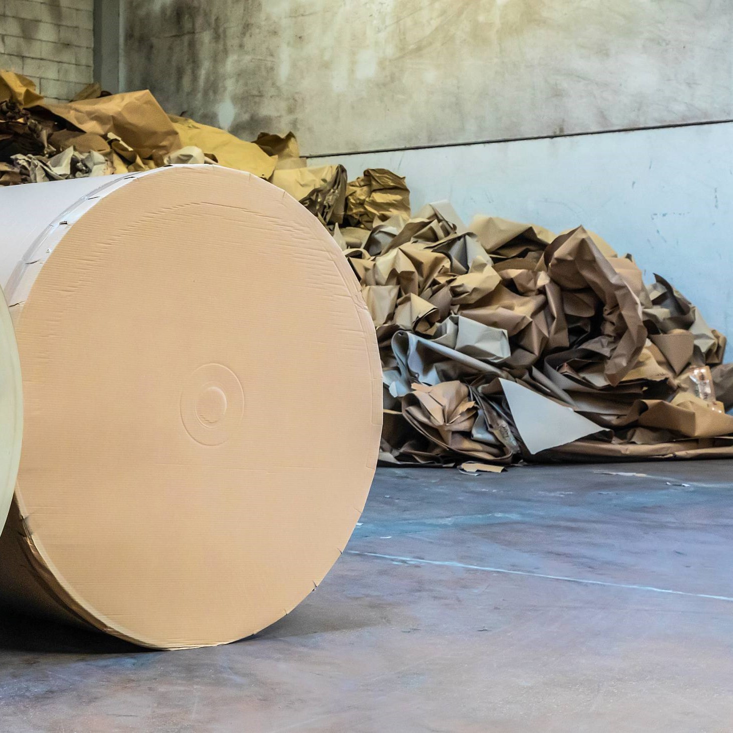 Raccolta E Riciclo Carta E Cartone Italia Da Record Packagingspace Net