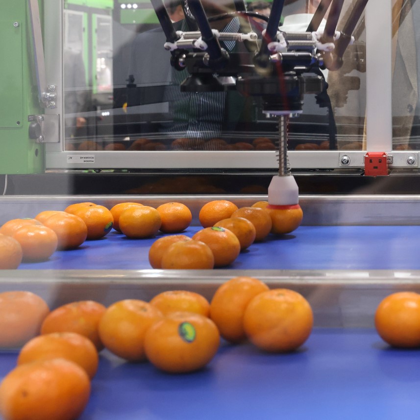 Fruit Logistica 2024, crescono gli espositori